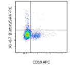 Ki-67 Antibody in Flow Cytometry (Flow)