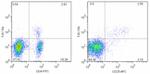 FOXP3 Antibody in Flow Cytometry (Flow)