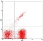 TCR gamma/delta Antibody in Flow Cytometry (Flow)