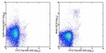 Ly-49H Antibody in Flow Cytometry (Flow)