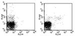 KLRG1 Antibody in Flow Cytometry (Flow)