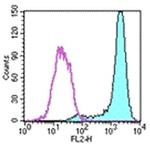 FceR1 alpha Antibody in Flow Cytometry (Flow)