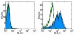 CD137 Ligand (4-1BB Ligand) Antibody in Flow Cytometry (Flow)