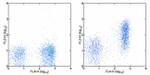 CD272 (BTLA) Antibody in Flow Cytometry (Flow)