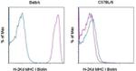 MHC Class I (H-2Kd) Antibody in Flow Cytometry (Flow)