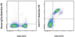 FITC Antibody in Flow Cytometry (Flow)