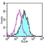 TLR4/MD-2 Complex Antibody in Flow Cytometry (Flow)