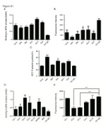 CD62P (P-Selectin) Antibody in Flow Cytometry (Flow)