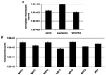 CD309 (FLK1) Antibody in Flow Cytometry (Flow)