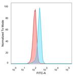 ATF2 Antibody in Flow Cytometry (Flow)