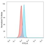 ATF2 Antibody in Flow Cytometry (Flow)