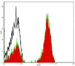 CD3 Antibody in Flow Cytometry (Flow)