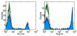 CD8a Antibody in Flow Cytometry (Flow)