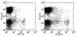 CD11c Antibody in Flow Cytometry (Flow)