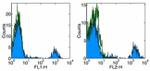 CD20 Antibody in Flow Cytometry (Flow)