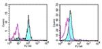 CD33 Antibody in Flow Cytometry (Flow)