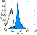 CD44 Antibody in Flow Cytometry (Flow)