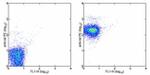 CD47 Antibody in Flow Cytometry (Flow)