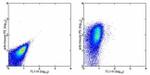 CD47 Antibody in Flow Cytometry (Flow)