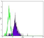 CD86 (B7-2) Antibody in Flow Cytometry (Flow)