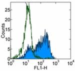 CD103 (Integrin alpha E) Antibody in Flow Cytometry (Flow)