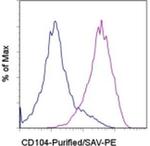 CD104 (Integrin beta 4) Antibody in Flow Cytometry (Flow)