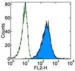 CD105 (Endoglin) Antibody in Flow Cytometry (Flow)