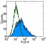 CD107a (LAMP-1) Antibody in Flow Cytometry (Flow)