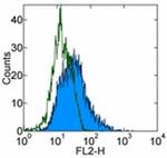 CD107b (LAMP-2) Antibody in Flow Cytometry (Flow)