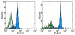 CD116 Antibody in Flow Cytometry (Flow)