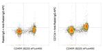 CD124 Antibody in Flow Cytometry (Flow)