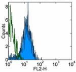 CD144 (VE-cadherin) Antibody in Flow Cytometry (Flow)