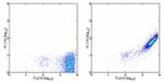 Phycoerythrin Antibody in Flow Cytometry (Flow)