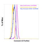 Connexin 43 Antibody in Flow Cytometry (Flow)