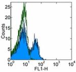 CD314 (NKG2D) Antibody in Flow Cytometry (Flow)