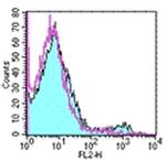 Dendritic Cell Marker DCIR2 Antibody in Flow Cytometry (Flow)