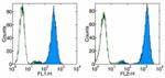 FceR1 alpha Antibody in Flow Cytometry (Flow)