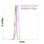 Blimp-1 Antibody in Flow Cytometry (Flow)