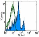 CD272 (BTLA) Antibody in Flow Cytometry (Flow)