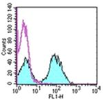 MHC Class II (I-Ek) Antibody in Flow Cytometry (Flow)