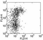 CD202b (TIE2) Antibody in Flow Cytometry (Flow)