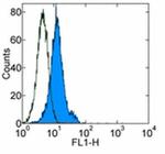 Zap-70 Antibody in Flow Cytometry (Flow)