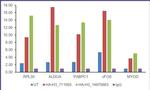 HA Tag Antibody in ChIP Assay (ChIP)