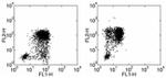 IL-1 beta Antibody in Flow Cytometry (Flow)