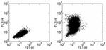 CCL2 (MCP-1) Antibody in Flow Cytometry (Flow)