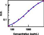 IL-28 (IFN lambda) Antibody in ELISA (ELISA)