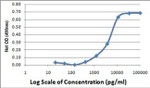 Mouse PDGF-AA Protein in Functional Assay (Functional)