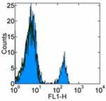 CD268 (BAFF Receptor) Antibody in Flow Cytometry (Flow)