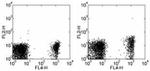 CD267 (TACI) Antibody in Flow Cytometry (Flow)