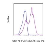 GRP78 Antibody in Flow Cytometry (Flow)